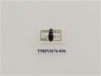 藏品(步行蟲(2))的圖片